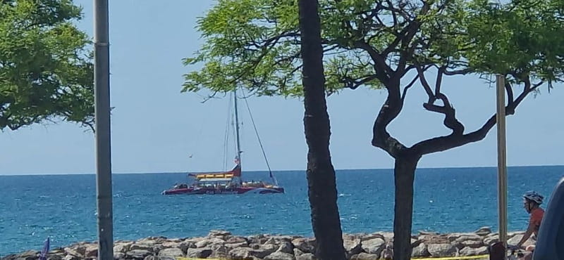 Cambrils/Salou: Coastline Catamaran 3h with drinks ,bed - Who This Tour is Best For