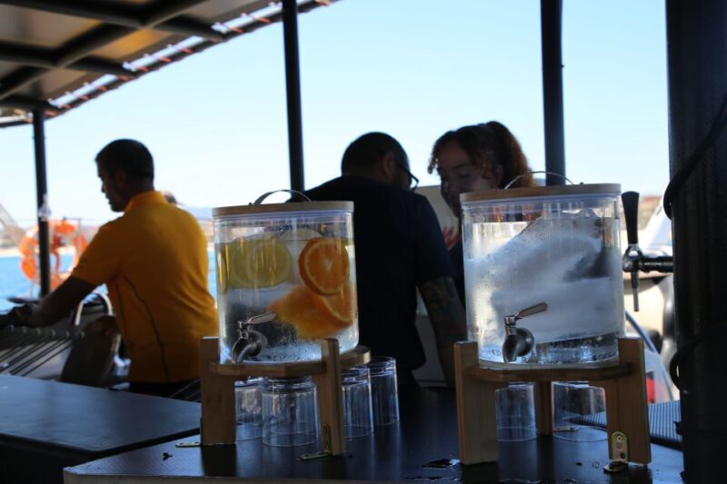 Cambrils: Sunset Catamaran Cruise with Drinks - Who Would Love This Experience?
