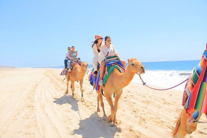 Camel Adventure on the Beach - Discovering the Camel Adventure on the Beach in Cabo San Lucas