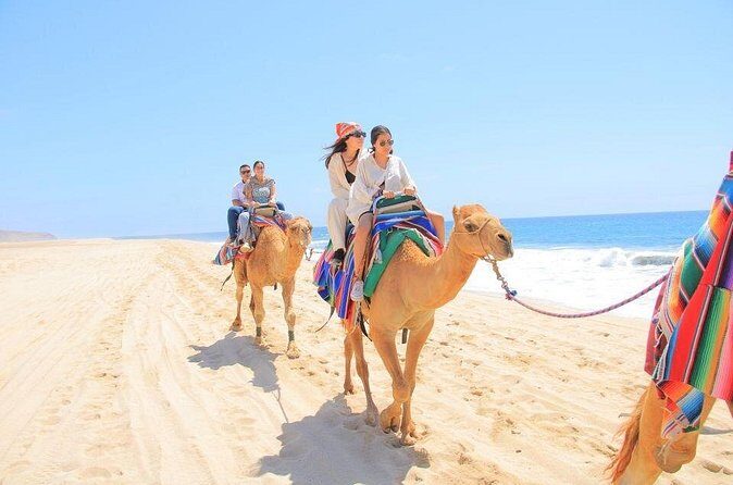 Camel Adventure on the Beach - The Sum Up: Who Is This Tour Best For?