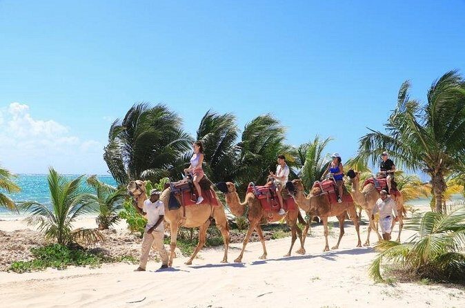 Camel Adventure on the Beach - Frequently Asked Questions