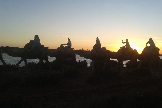 Camel Barbecue Sunset Agadir City - Dining Under the Moroccan Sunset