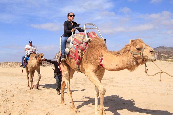 Camel Desert Ride Experience in Cabo - Key Points