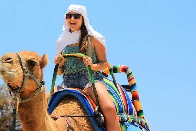 Camel Encounter and Safari Ride. Includes lunch & alcohol tasting - Final thoughts: Is it worth it?