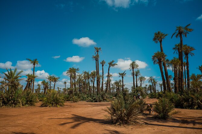 Camel Ride and Quad Biking With Fresh Mint Tea - Booking Considerations
