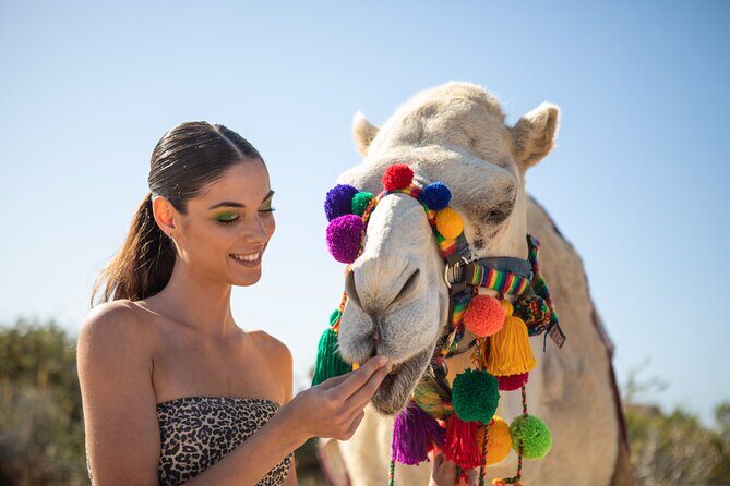 Camel Ride and Tequila Tasting Adventure in Los Cabos - Who Will Love This Tour?