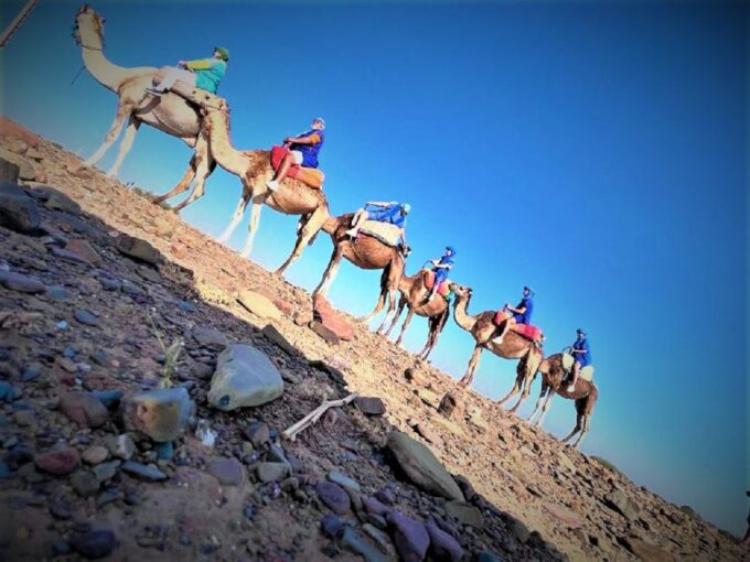 Camel Ride, Anima Garden and Atlas Mountains - Included Services
