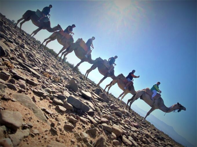 Camel Ride, Anima Garden and Atlas Mountains - Travel Tips