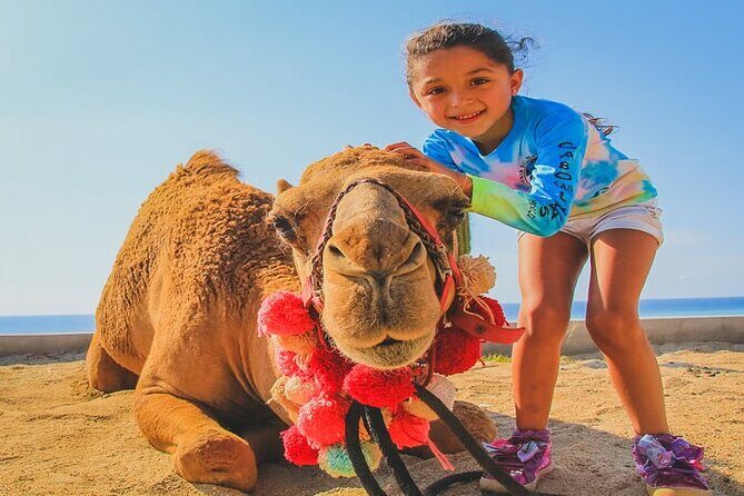 Camel Ride & ATV Combo in Migriño, Mexico - Practical Details and Considerations