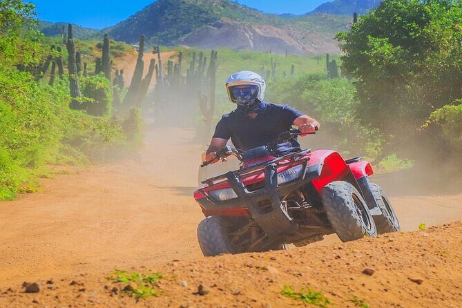 Camel Ride & ATV Combo in Migriño, Mexico - Final Thoughts: Is This Tour For You?