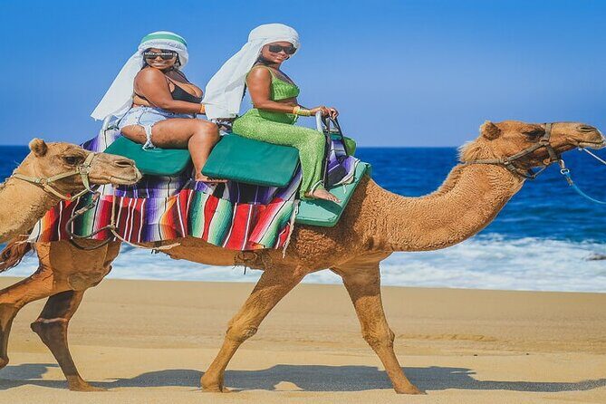 Camel Ride & ATV Combo in Migriño, Mexico - FAQ