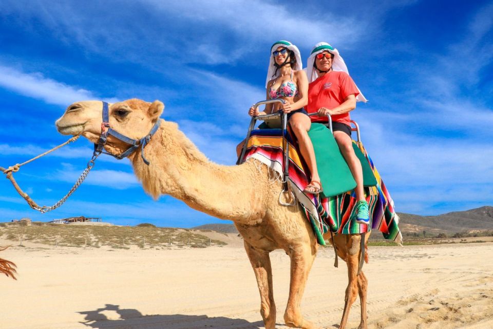 Camel Ride Beach and Desert Adventure. - Key Points