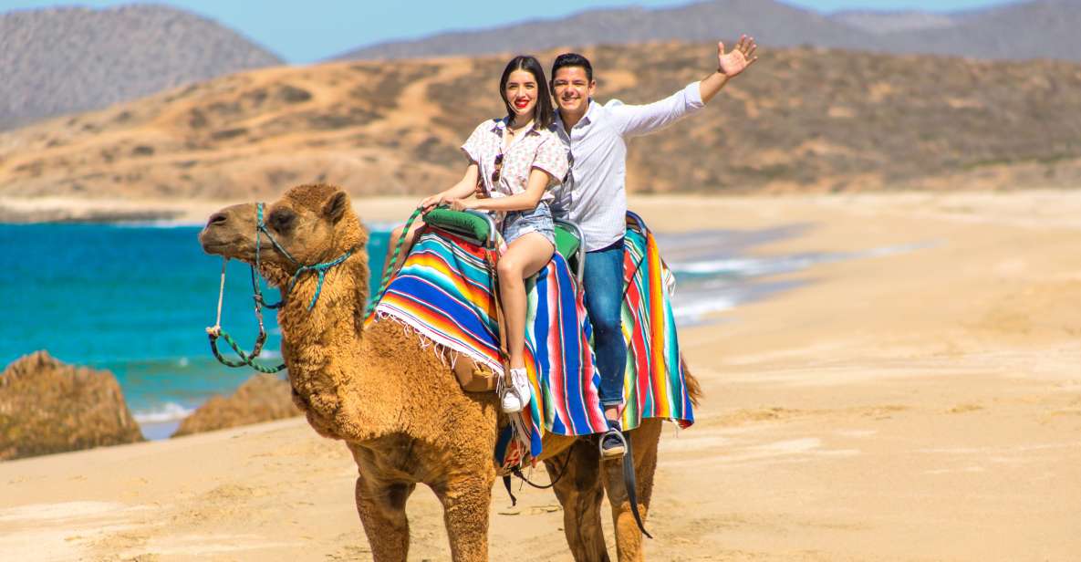 Camel Ride Beach and Desert Adventure. - Camel Ride Experience