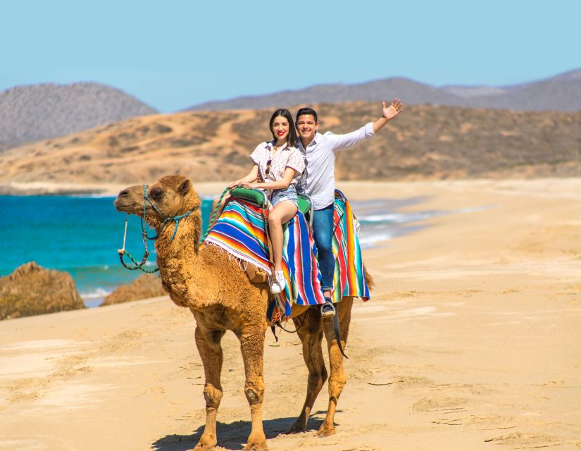 Camel Ride Beach and Desert Adventure. - Culinary Delights