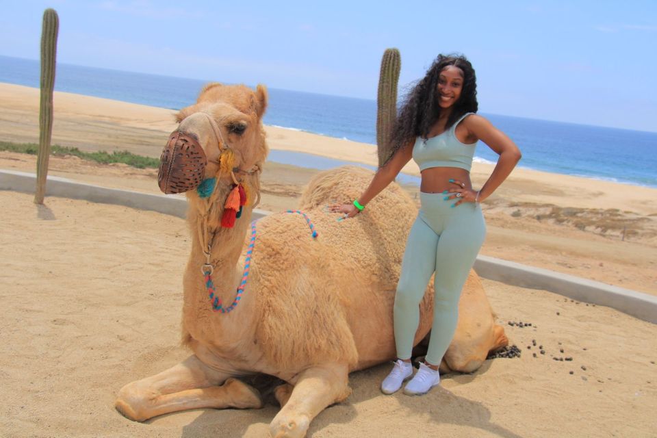 Camel Ride Beach and Desert Adventure. - Tequila Tasting