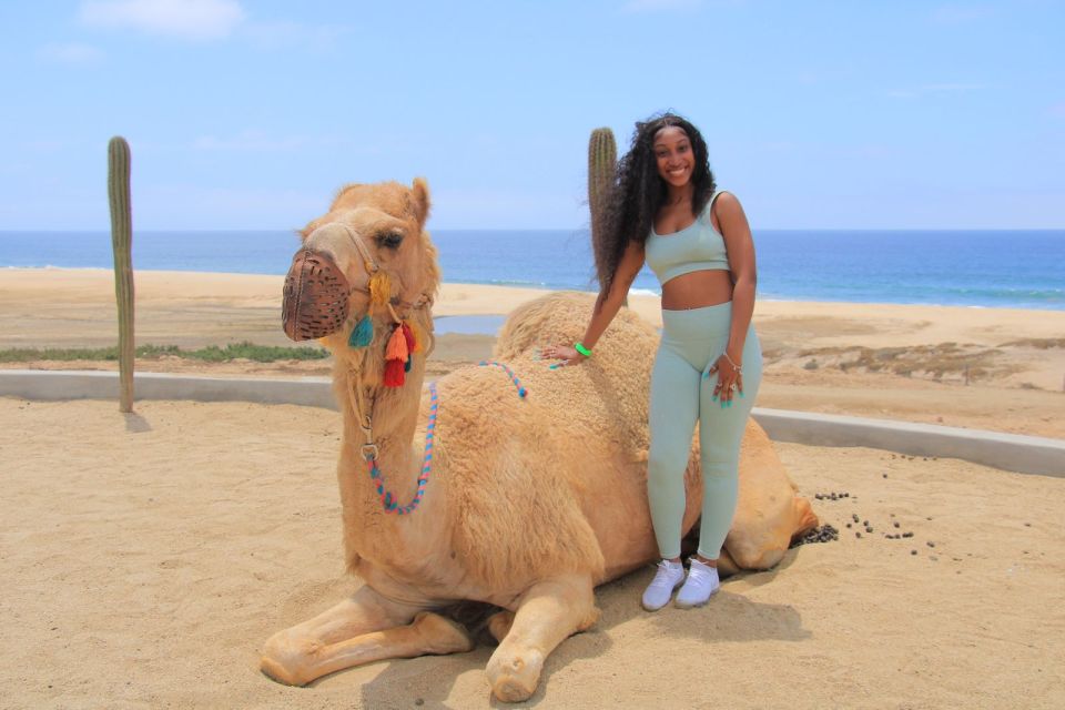 Camel Ride Beach and Desert Adventure. - Nature Exploration