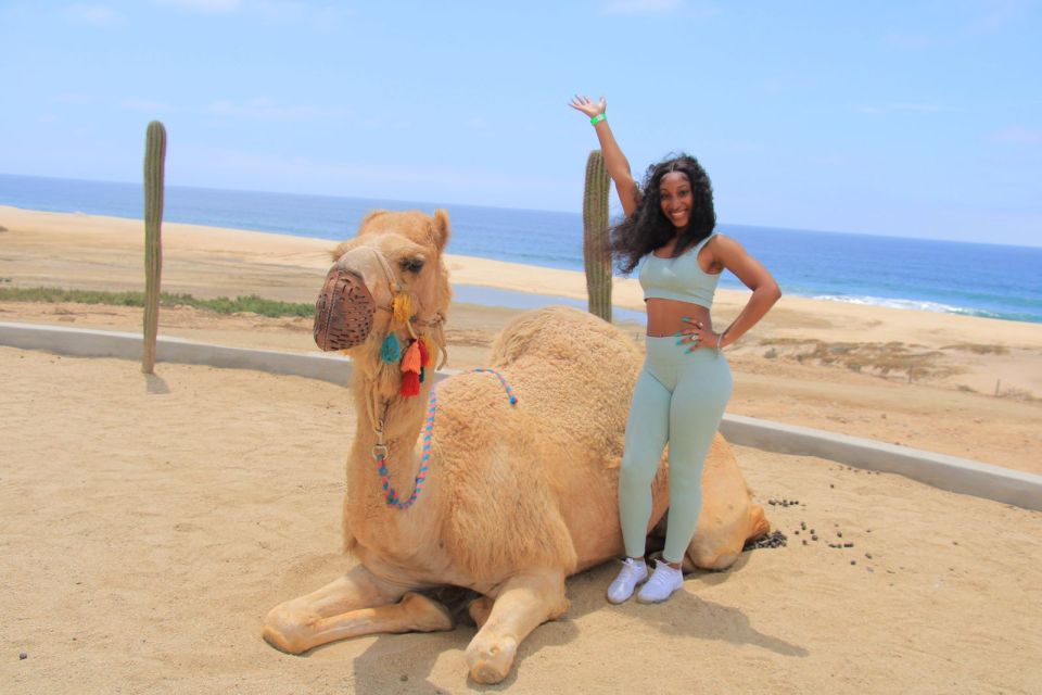 Camel Ride Beach and Desert Adventure. - Desert Safari