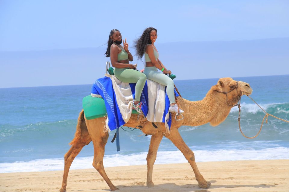 Camel Ride Beach and Desert Adventure. - Exclusions and Restrictions