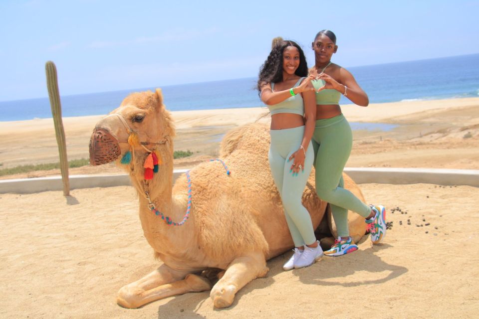 Camel Ride Beach and Desert Adventure. - Frequently Asked Questions