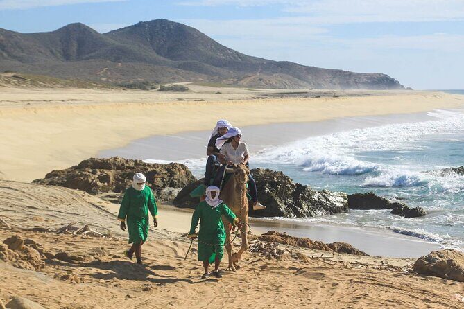 Camel Ride & Encounter at Los Cabos - The Sum Up: Is It Worth It?