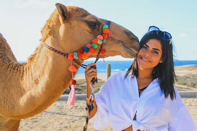 Camel Ride Experience in Los Cabos with Pick up and Lunch - Key Points