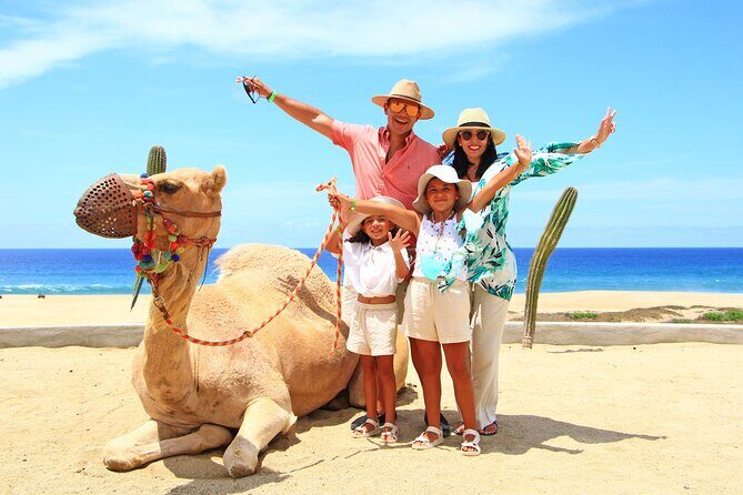 Camel Ride Experience in Los Cabos with Pick up and Lunch - What to Expect from the Camel Ride Tour