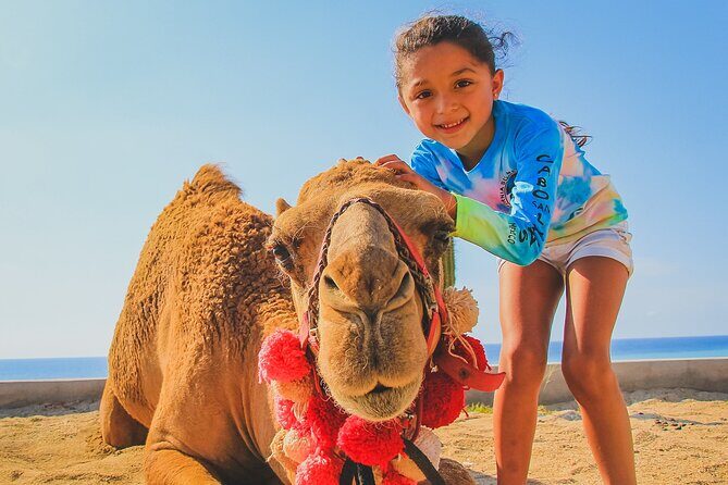 Camel Ride Experience in Los Cabos with Pick up and Lunch - How This Tour Fits Into Your Los Cabos Trip