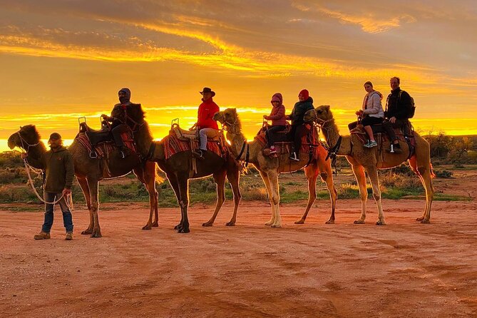 Camel Ride in Agadir & Options at Sunset & Barbecue With Couscous - Key Points