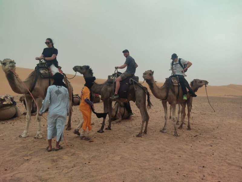Camel Ride In Agafay Desert - Inclusions and Private Expenses
