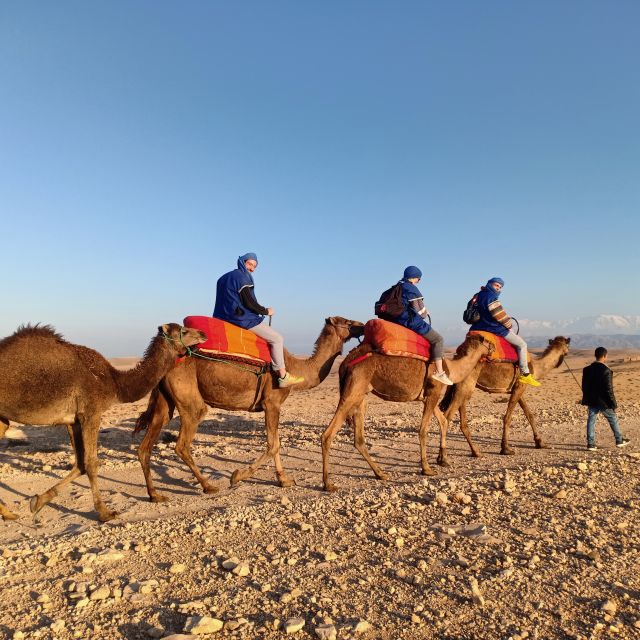 Camel Ride In Agafay Desert - Capturing the Sunset Views