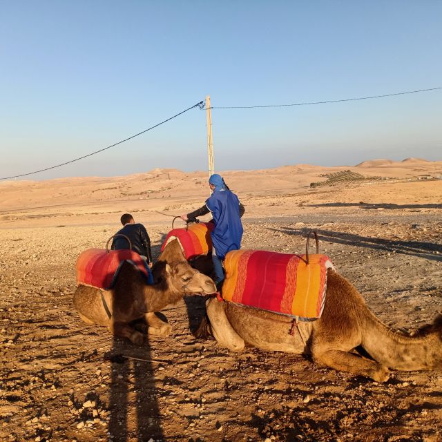 Camel Ride In Agafay Desert - Discovering Desert Life and Caravans