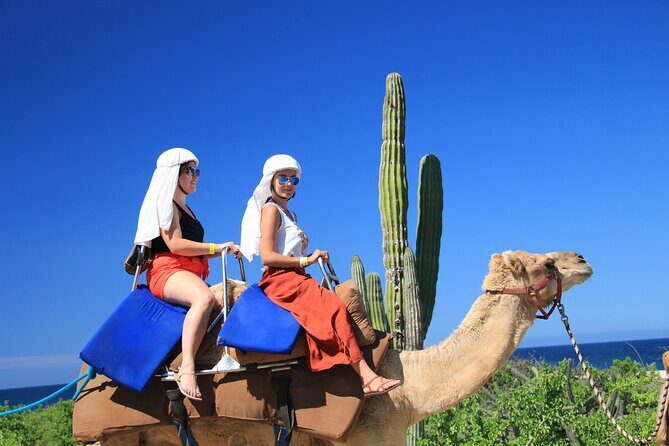 Camel Ride in Los Cabos with Buffet Food and Beer - Authentic Experience with Positive Reviews
