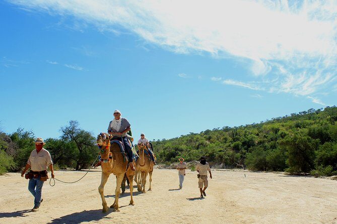 Camel Ride in the Canyon + Thrilling Water-Slides & Snacks - Who is This Tour Best For?