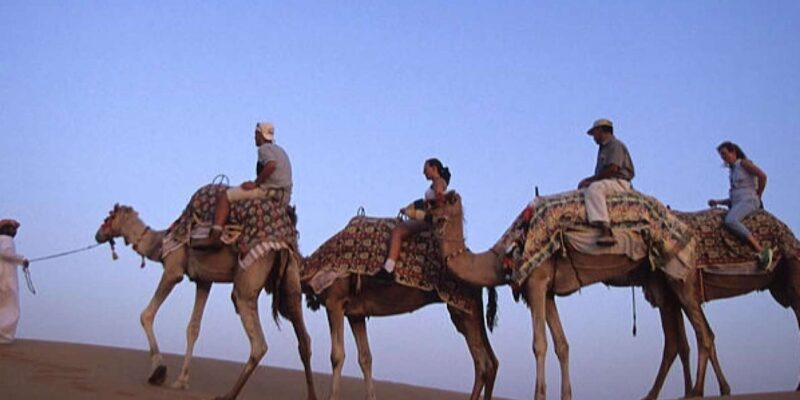 Camel Ride in the Palm Grove of Marrakech - Good To Know