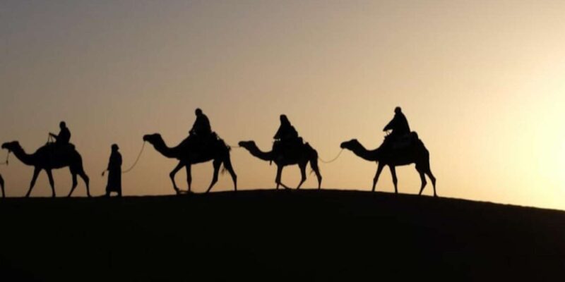 Camel Ride in the Palm Grove of Marrakech - Preparing for the Camel Adventure