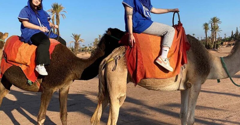 Camel Ride in the Palm Grove of Marrakech - Journey Into the Palmaraie
