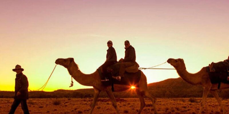 Camel Ride in the Palm Grove of Marrakech - Riding the Rhythmic Camel