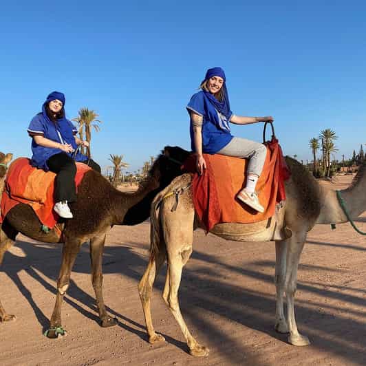 Camel Ride in the Palm Grove of Marrakech - Capturing the Sunset Splendor