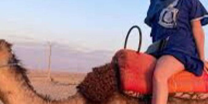 Camel Ride in the Palm Grove of Marrakech - Included Services and Amenities