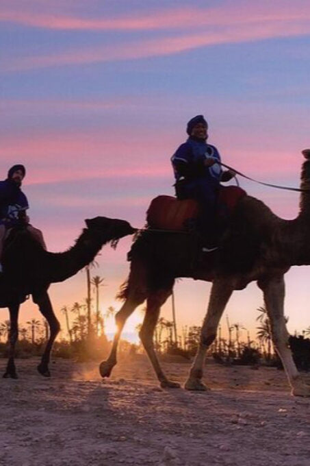 Camel Ride in the Palm Grove of Marrakech - Frequently Asked Questions