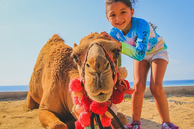 Camel Ride on the Beach With Mexican Lunch - Highlights and Uniqueness