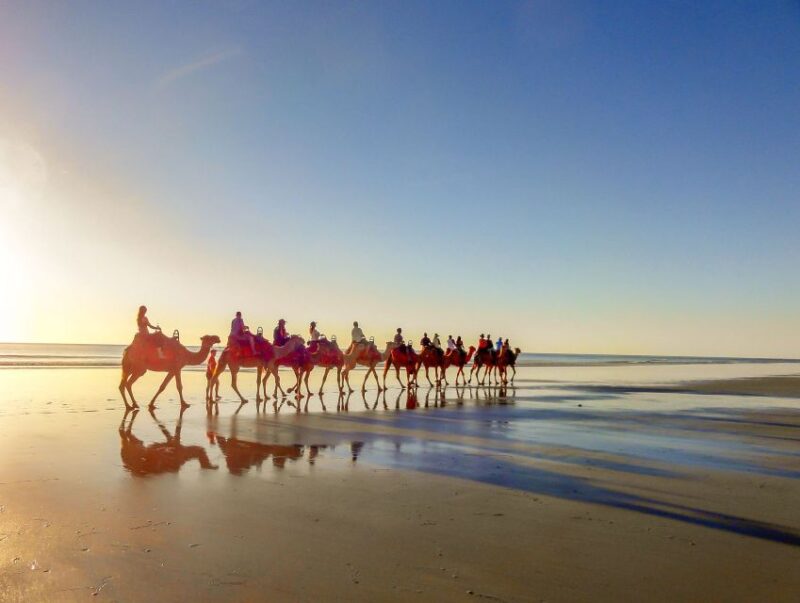 Camel Ride Tour Trek With Tean & Transfers - Included in the Tour