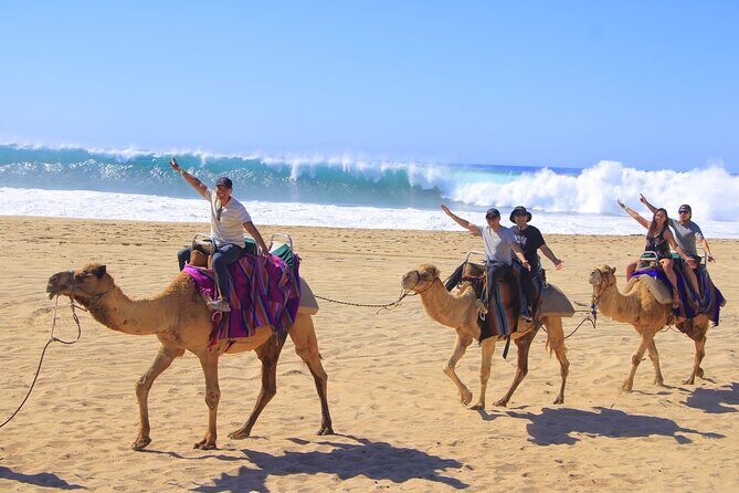 Camel Ride with Tequila Tasting and Lunch in Los Cabos - Exploring the Camel Ride with Tequila Tasting and Lunch in Los Cabos