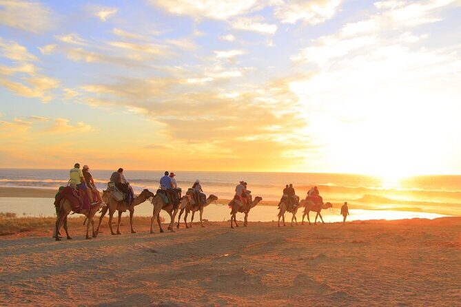 Camel Ride with Tequila Tasting and Lunch in Los Cabos - Key Points