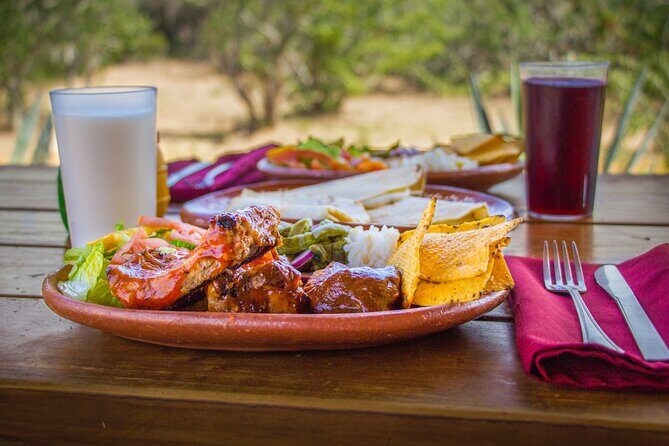 Camel Ride with Tequila Tasting and Lunch in Los Cabos - Practical Tips for Travelers