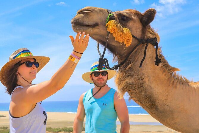 Camel Ride with Tequila Tasting and Lunch in Los Cabos - Who Would Love This Experience?