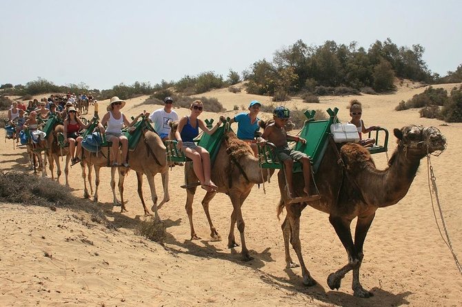 Camel Riding in Maspalomas Dunes - Experience Highlights