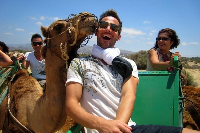 Camel Riding in Maspalomas Dunes - Meeting Point Details