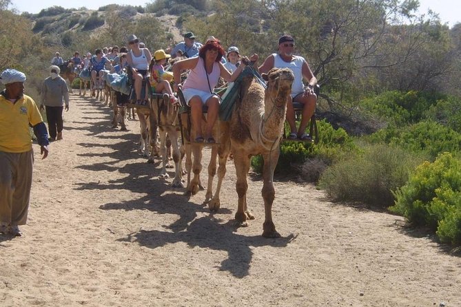 Camel Riding in Maspalomas Dunes - Tips for a Great Experience