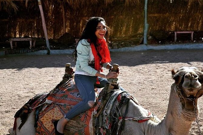 Camel Riding Tour in Sharm El Sheikh Desert - Operator Information and Safety Measures